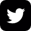 twitter-logo